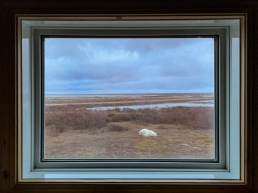 Karen Lord5dfd9d7845e8a-IMG_2514